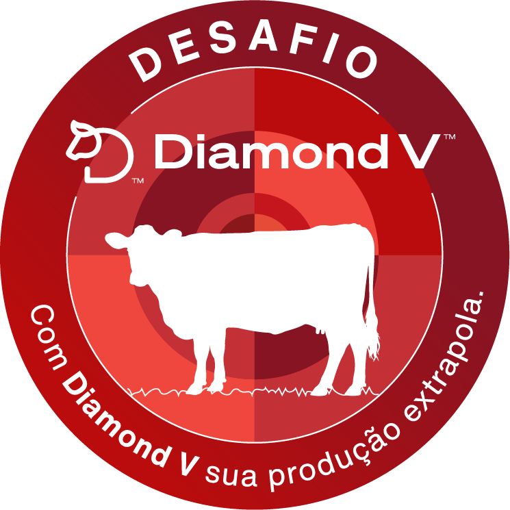 Desafio Diamond V